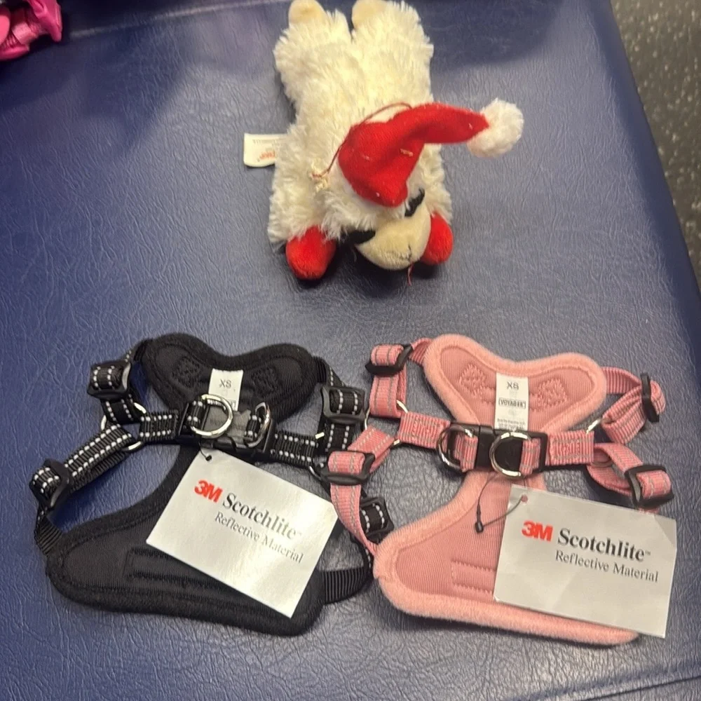 Black and Pink Pet Harness Set XS
